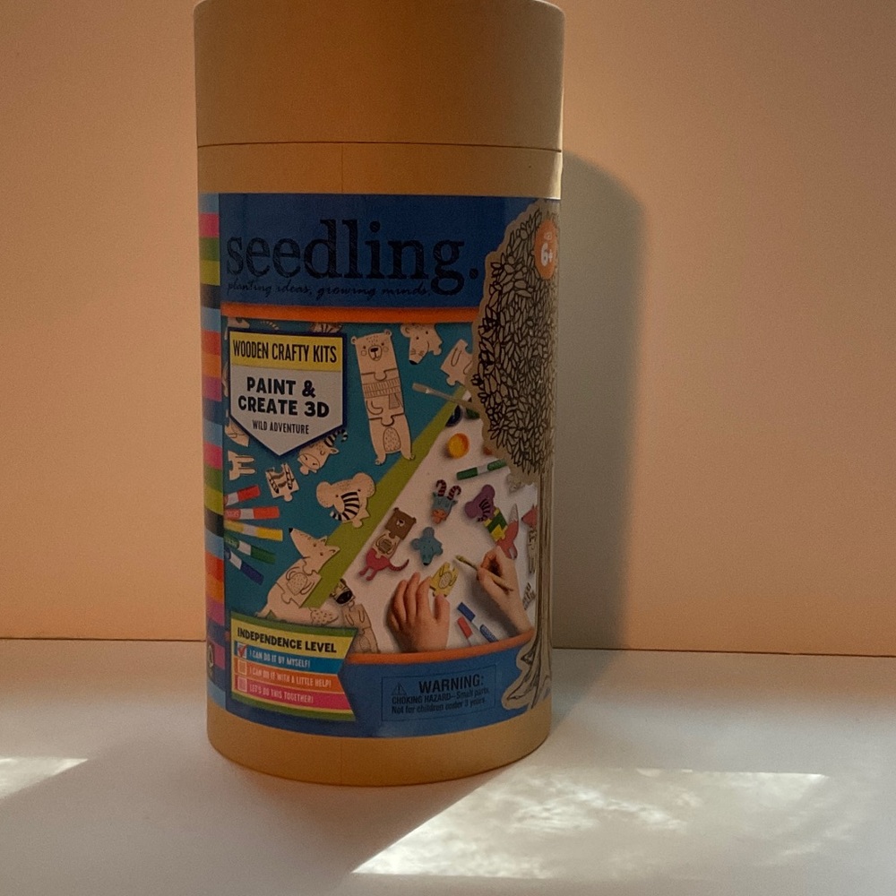 Wooden Crafty Kits Paint & Create 3D Art Set